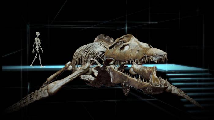 Широкоформатные обои Скелеты, Скелеты человека и динозавра