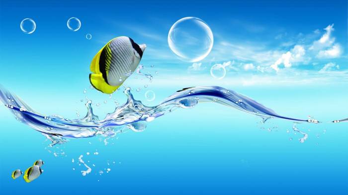 Широкоформатные обои Рыбы в воде, Рыбы плавают в воде