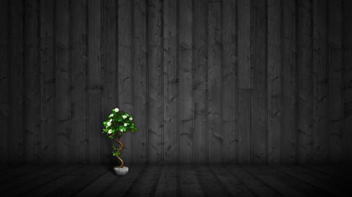 Широкоформатные обои Карликовое растение, Кусочек жизни на сером фоне