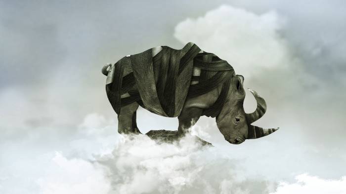 Широкоформатные обои Носорог, Носорог в облаках