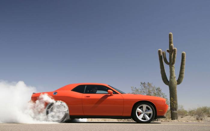 Широкоформатные обои Кактус и Dodge Challenger SRT8 2008, Кактус и Додж Челленджер (Dodge Challenger SRT8 2008)