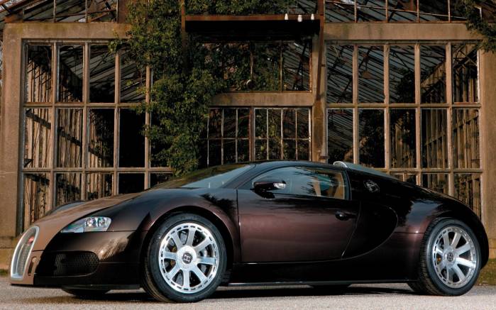Широкоформатные обои Вид сбоку Bugatti Veyron Hermes, Вид сбоку Бугатти Вейрон Герсмес (Bugatti Veyron Hermes)