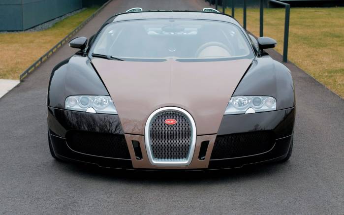 Широкоформатные обои Вид спереди Bugatti Veyron Hermes, Вид спереди Бугатти Вейрон Герсмес (Bugatti Veyron Hermes)