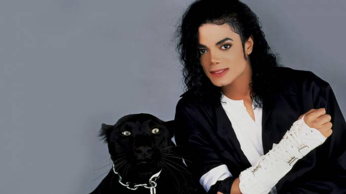 Широкоформатные обои С черной пантерой, Джексон с кошкой