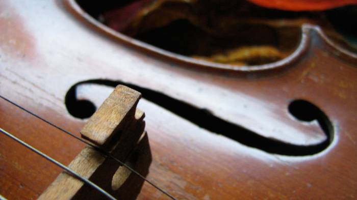 Широкоформатные обои Украденная скрипка, Старая скрипка со струнами