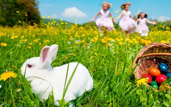 Широкоформатные обои Белый кролик на траве, Белый кролик и маленькие девочки