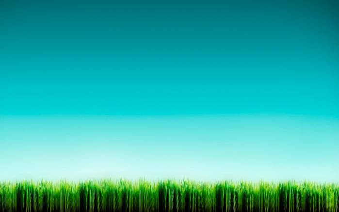 Широкоформатные обои Зеленая линия, Зеленая линия травы на фоне голубого неба