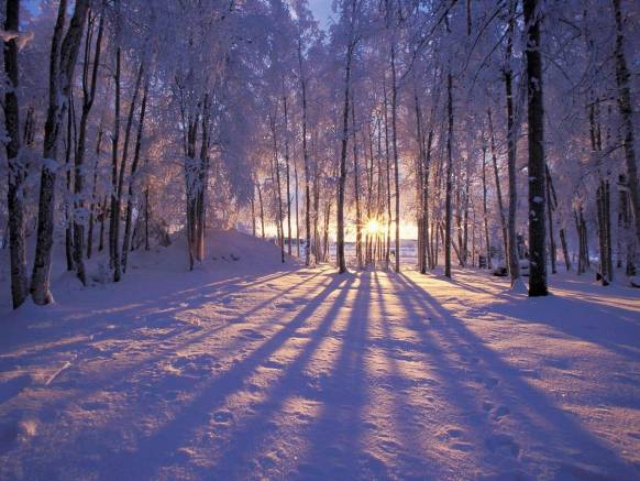 Широкоформатные обои Зимний закат, Зимний закат и лучи солнца