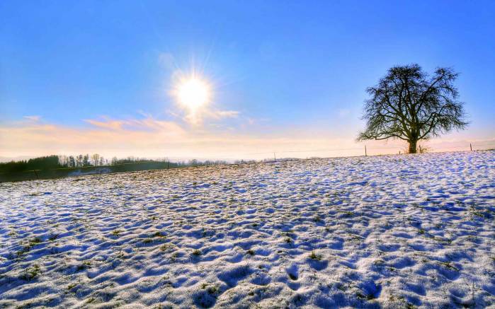 Широкоформатные обои Снег на траве, Снег на траве сияет
