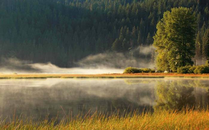 Широкоформатные обои Утренняя дымка, Утренняя дымка над водоемом