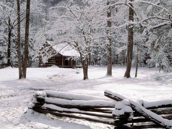 Широкоформатные обои Зимний лес, Дом в зимнем лесу