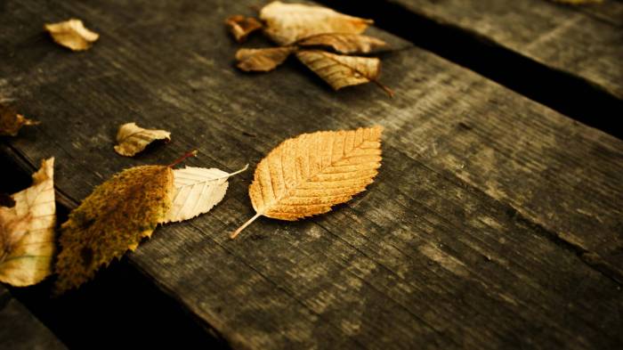 Широкоформатные обои Листья на досках, Опавшие листья