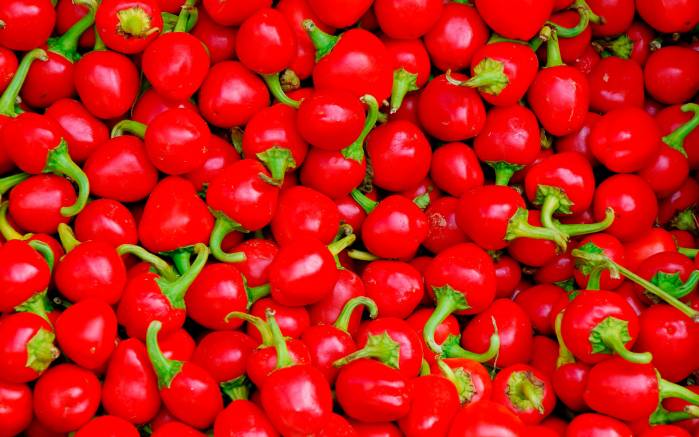Широкоформатные обои Красные и горячие, Красный жгучий перец
