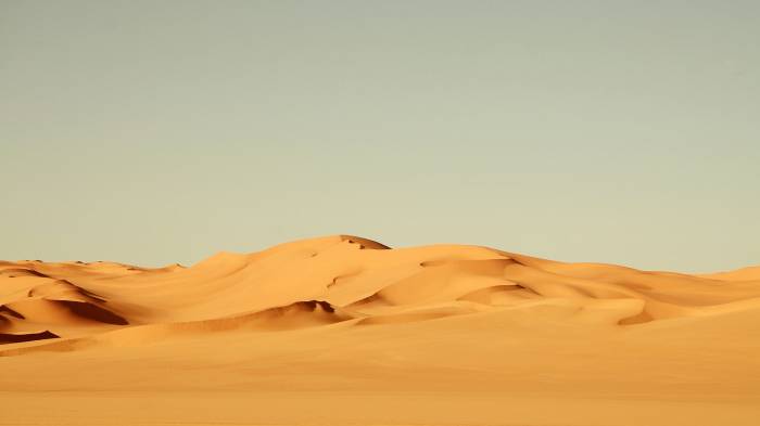Широкоформатные обои Сахара, Сахара в разгаре дня