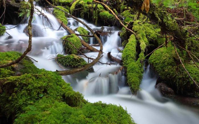 Широкоформатные обои Дымка водопада, Дымка водопада в зелени лиан
