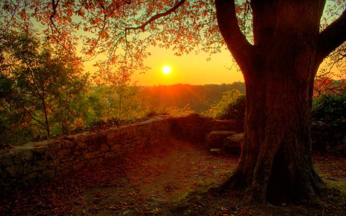 Широкоформатные обои Осенний закат солнца, Солнечный закат
