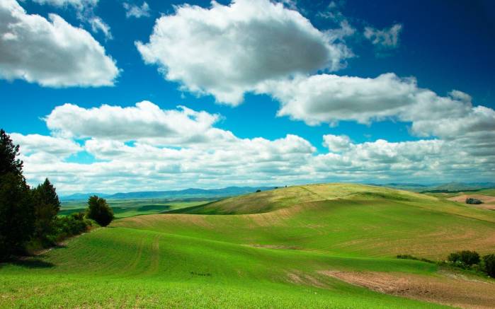 Широкоформатные обои Живописные поля, Красивые поля под голубым небом
