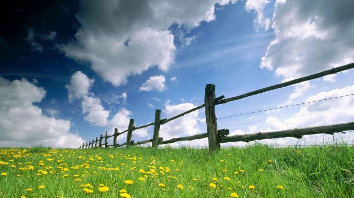 Широкоформатные обои Весеннее время, Сельская ограда