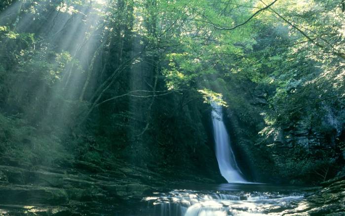 Широкоформатные обои Живописный водопад, Живописный водопад в джунглях