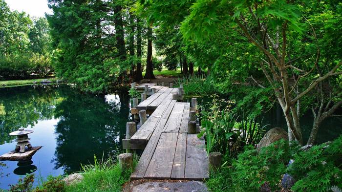 Широкоформатные обои Лесной мост, Японский лес
