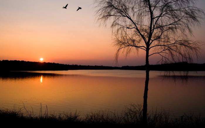 Широкоформатные обои Закат на озере, Солнечный закат на озере