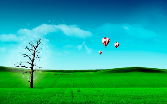 Широкоформатные обои Воздушные шары и дерево, Три воздушных шара в небе