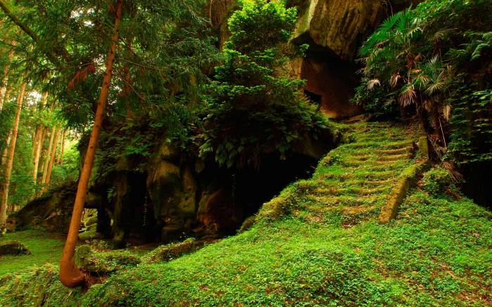 Широкоформатные обои Спрятанный путь, Спрятанная зеленая лестница
