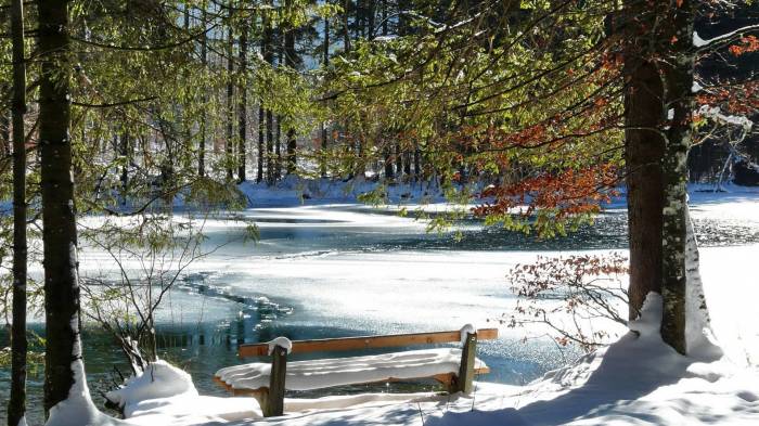 Широкоформатные обои Зима в парке, Парк в снегу
