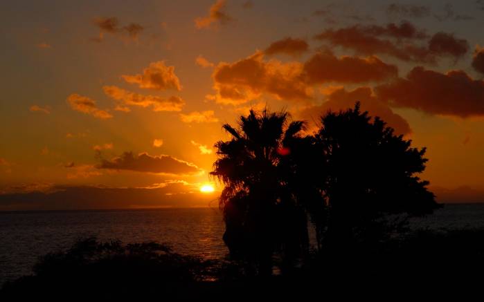Широкоформатные обои Закат на фоне пальм, Закат солнца за море на фоне пальм