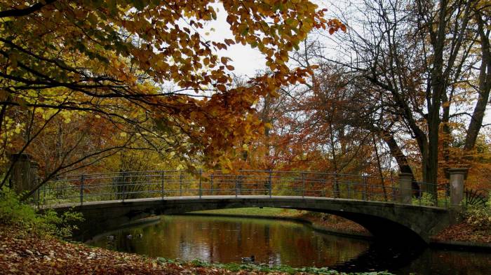 Широкоформатные обои Осень в парке, Парковый мост