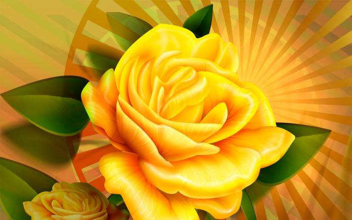 Широкоформатные обои Желтая роза, Желтая роза на разноцветном фоне