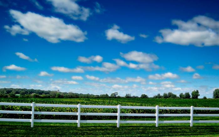 Широкоформатные обои Облачное небо, Зеленое поле и белый забор