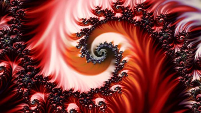 Широкоформатные обои Восхитительный цветок Широкоформатные обои Восхитительный цветок, Красный яркий цветок