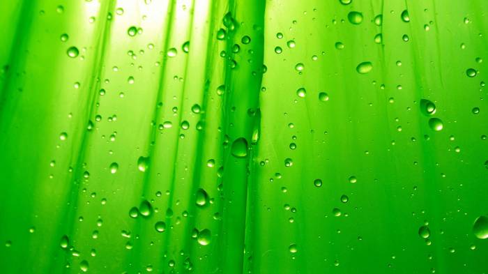 Широкоформатные обои Зеленый простор, Салатовое стекло