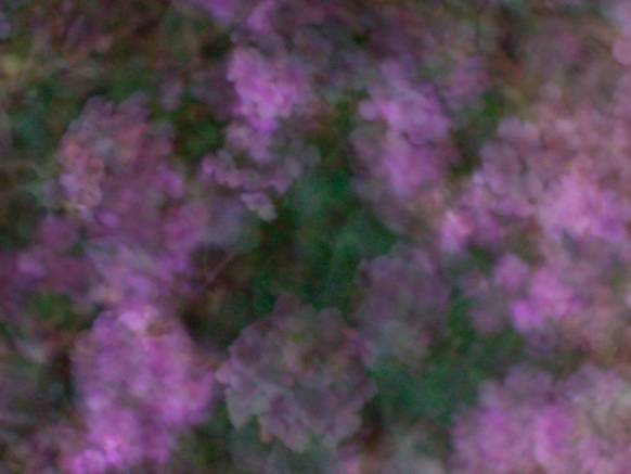 Широкоформатные обои Цветочная абстракция, Цветочная абстракция в фиолетовых тонах