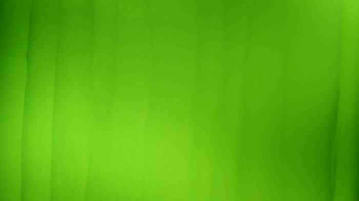 Широкоформатные обои Всепоглощающая зелень, Салатовый день