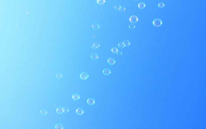 Широкоформатные обои Пузыри парят, Мыльные пузыри парят ввысь