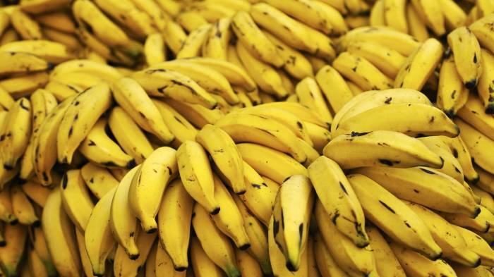 Широкоформатные обои Банановый рай, Спелые бананы