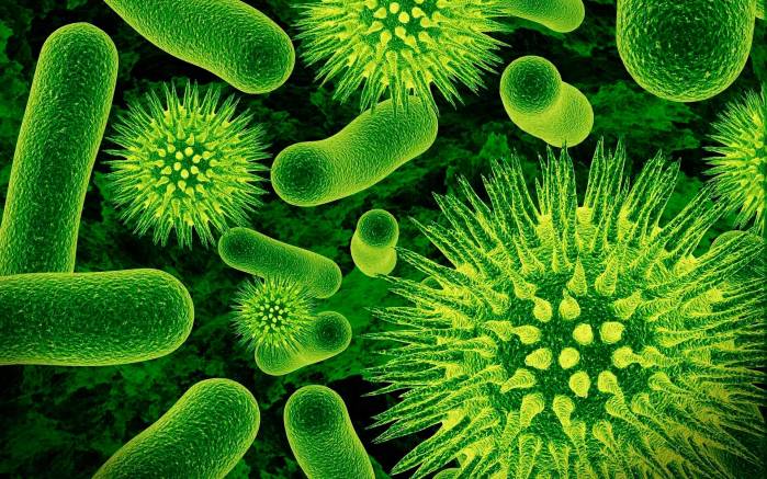 Широкоформатные обои Зеленые бактерии, Зеленые вирусы под микроскопом