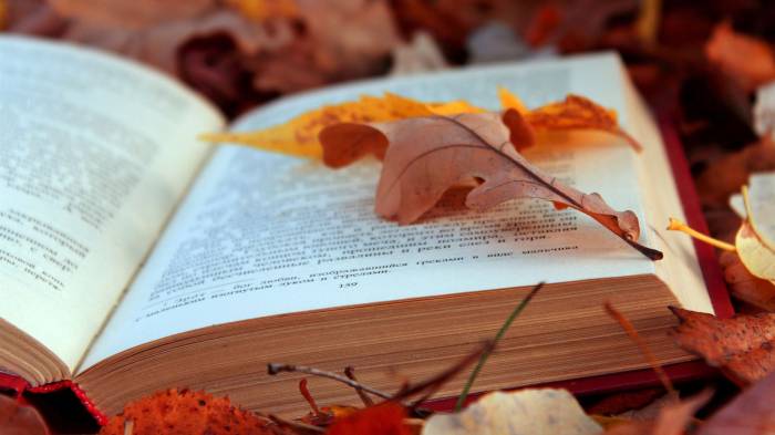 Широкоформатные обои Открытая книга, Открытая книга на природе осенью