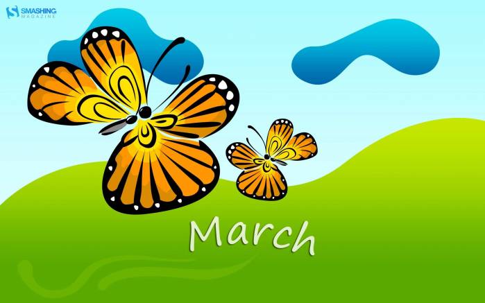 Широкоформатные обои Мартовские бабочки, Яркие разноцветные бабочки