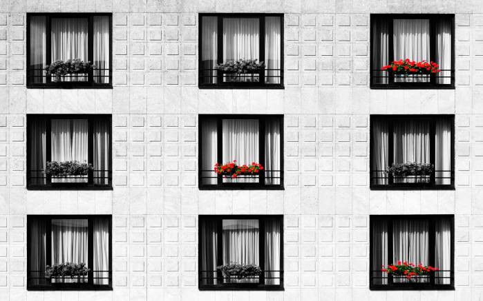 Широкоформатные обои Цветы на окнах, Монотонные гостиничные окна