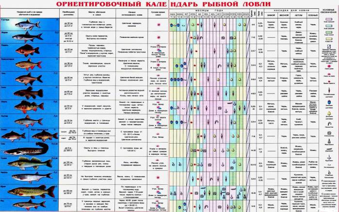 Широкоформатные обои Календарь рыбака, Календарь рыбака на год