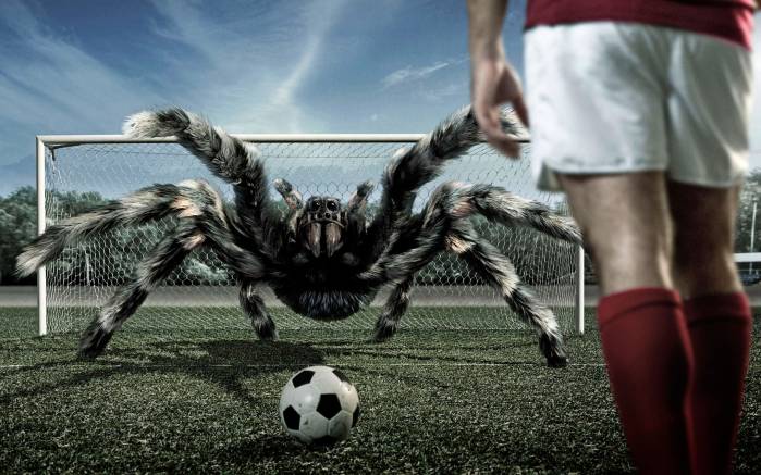 Широкоформатные обои Вратарь паук, Паук на футбольных воротах