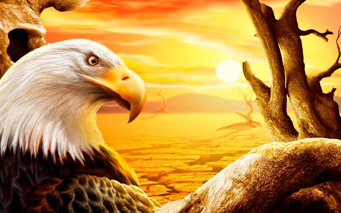 Широкоформатные обои Гордый профиль орла, Орел в пустыне