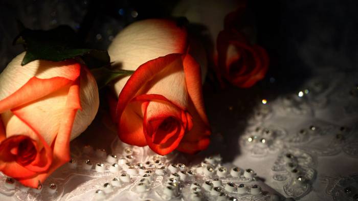 Широкоформатные обои Розы и бриллианты, Розы и бриллианты на свадебном платье