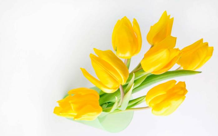 Широкоформатные обои Букет желтых тюльпанов, Тюльпаны в вазе