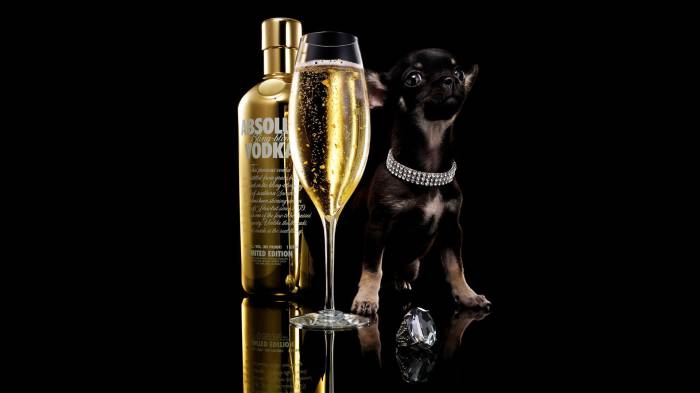 Широкоформатные обои Vodka absolut, Золотая водка
