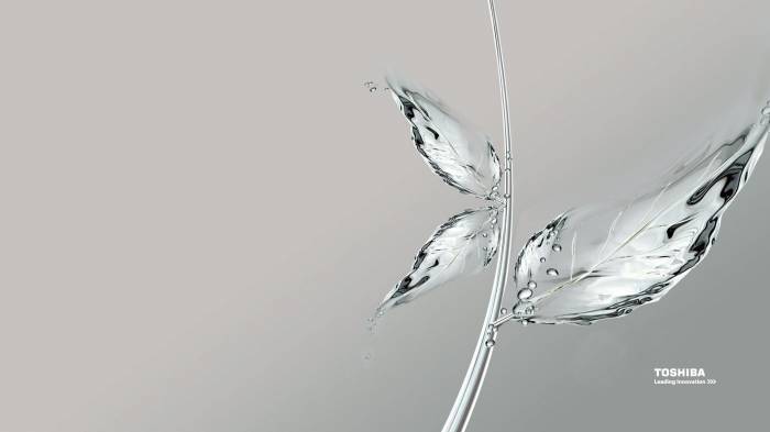 Широкоформатные обои Тoshiba waterleaf, Водяной лист