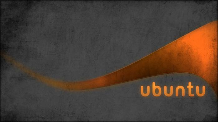 Широкоформатные обои Ubuntu, For human begins
